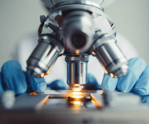 Science And Technology